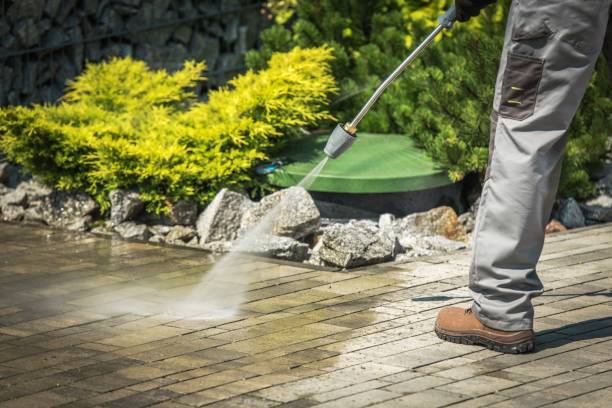 Best Pre-Holiday Cleaning  in Thompsonville, PA